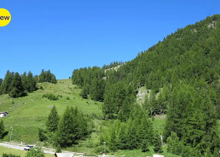 Cresta Ellie * 圣莫里茨