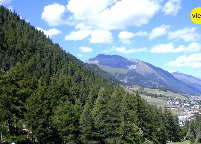 Cresta Ellie Апартаменты Санкт-Мориц